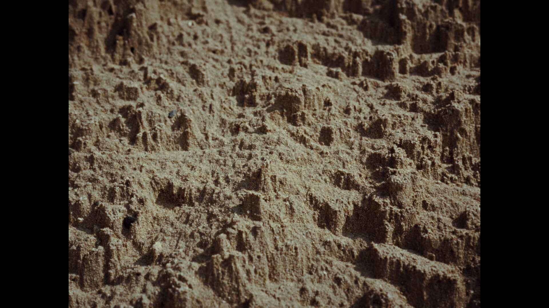 image00021
