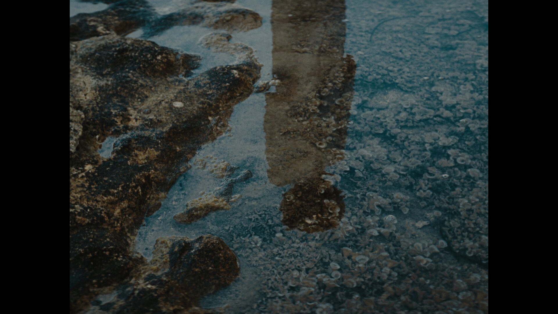 1.17.1_1.17.1