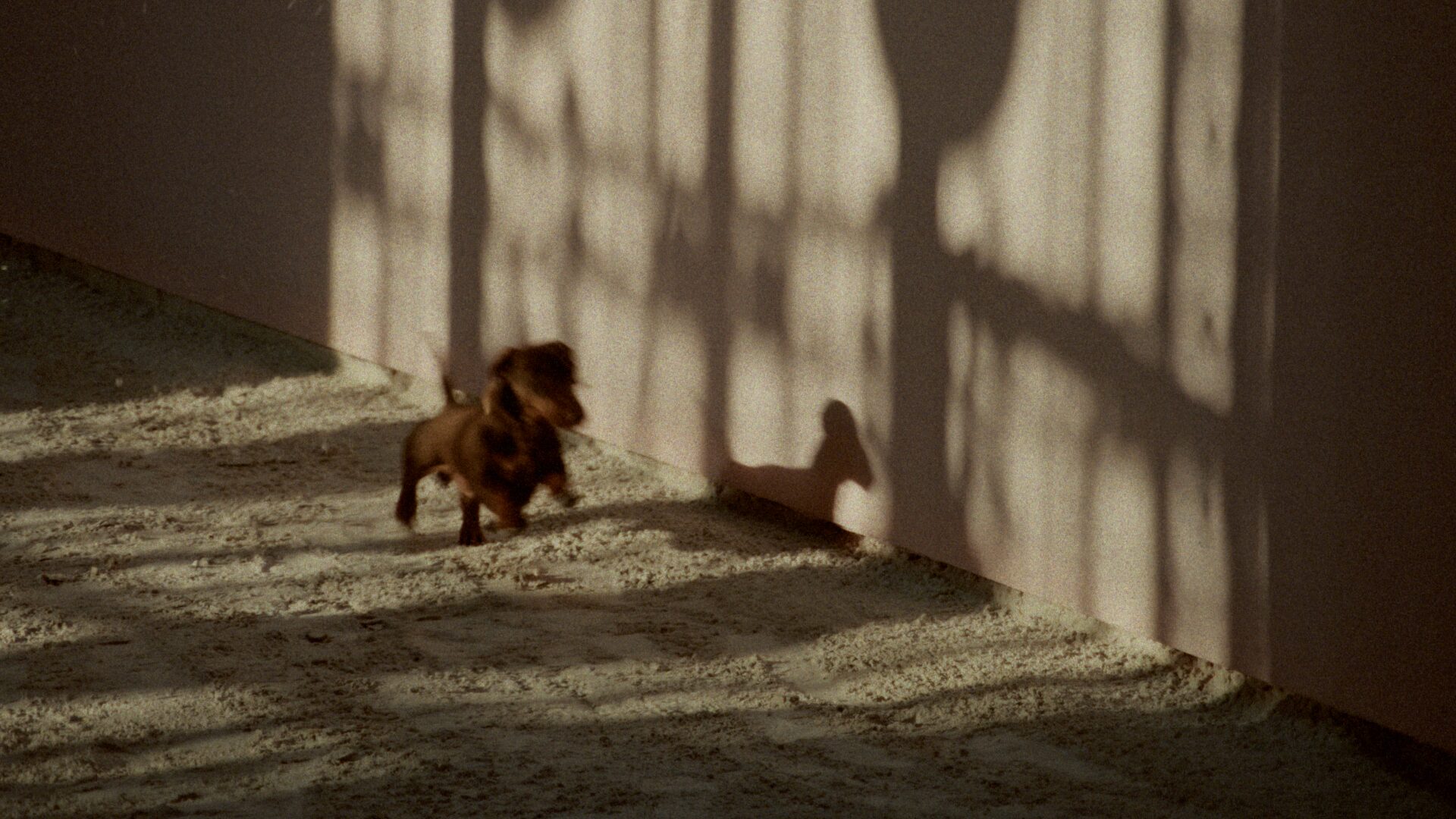 002_1.12.2