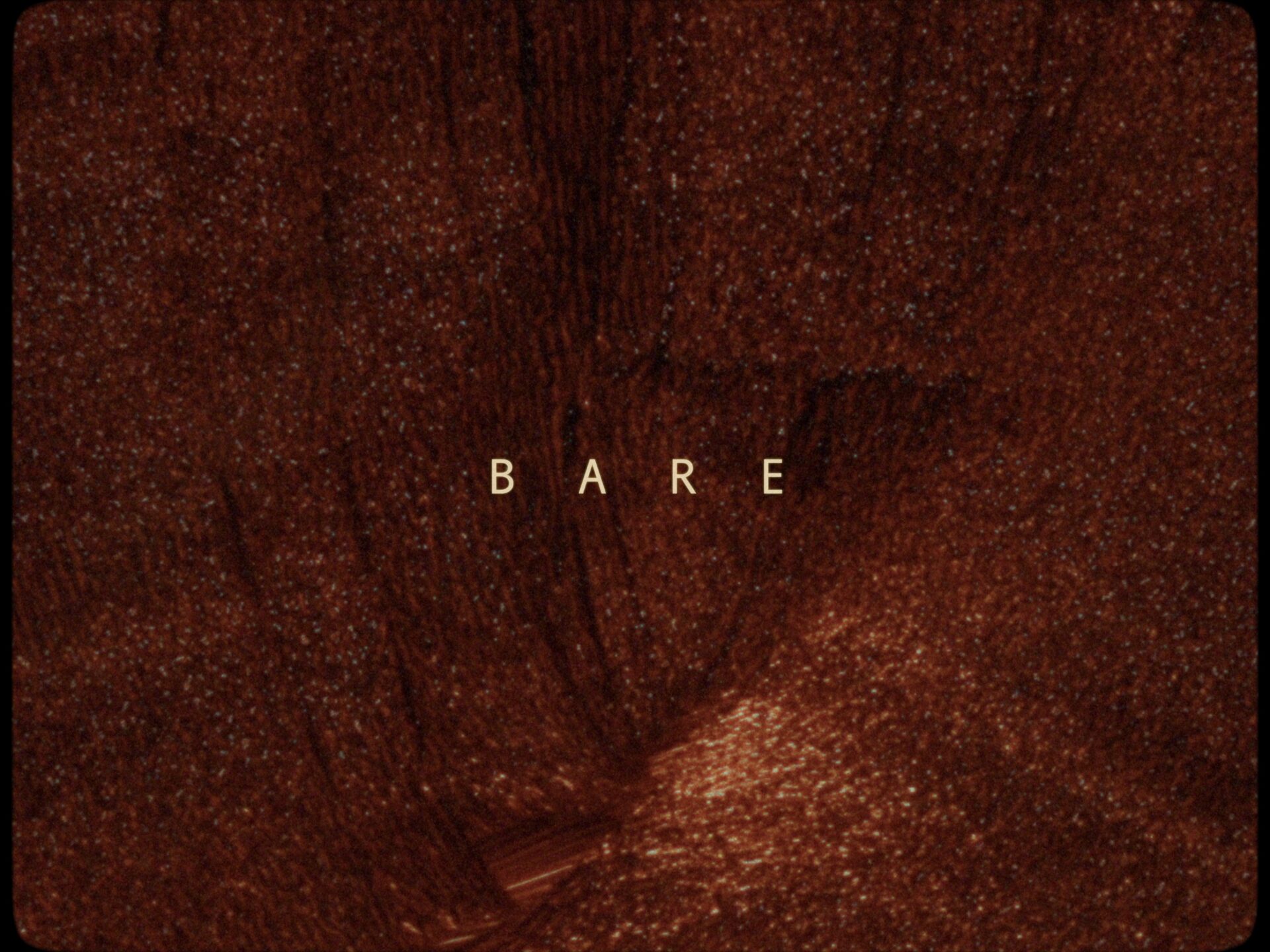 BARE THE FILM -Pooja_4K-010.mov_1.61.6.T